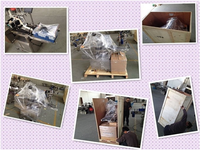 Controllo automatico del PLC dell'etichettatrice della bottiglia rotonda del servomotore SUS304 di HAY